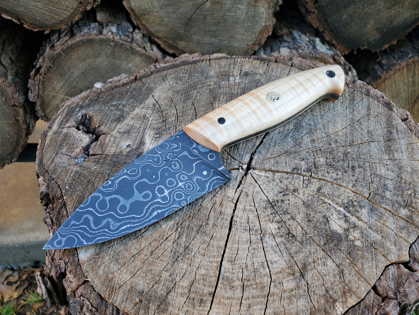 Rain Drop Damascus EDC with Curly Maple Scales!