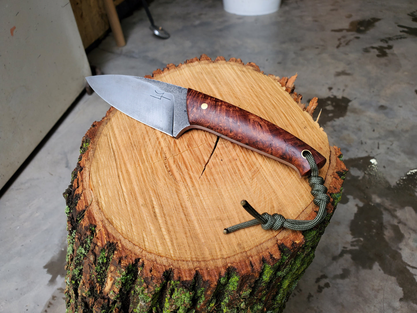 Hand Forged 5160 EDC with Buckeye Burl Scales!